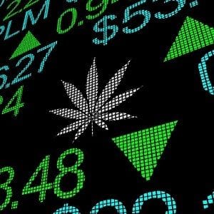 MMJ Group's growing portfolio of cannabis assets MMJ Group's growing portfolio of cannabis assets